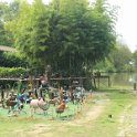 img_8282