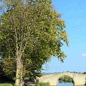 img_8409