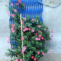 img_8426