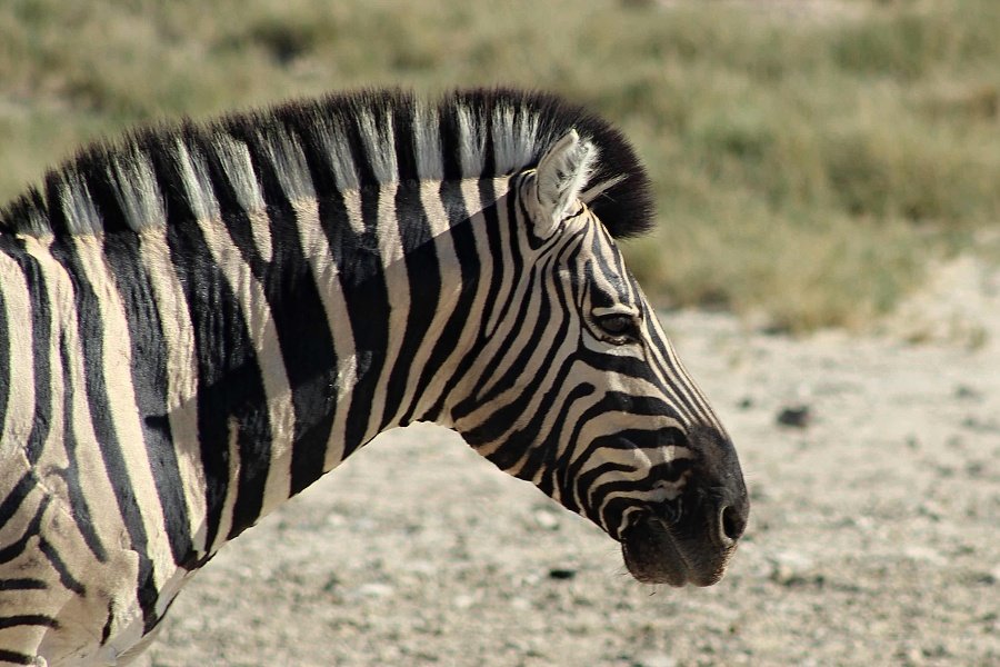 img_6222w