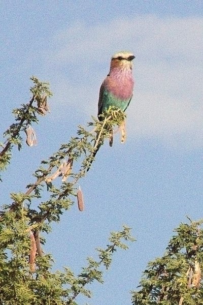 img_6323w