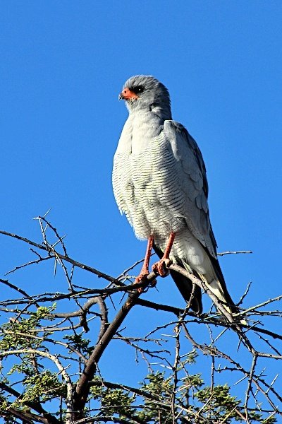 img_6510w