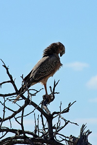 img_6654w