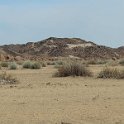 img_5252w