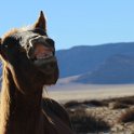 img_5349w