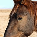 img_5352w