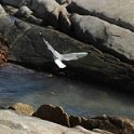img_5426w