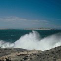 img_5438w