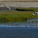 img_5465w