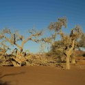 img_5554w