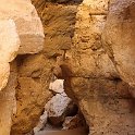 img_5635w