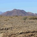 img_5639w