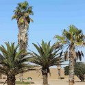 img_5756w
