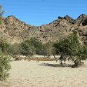 img_5771w