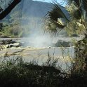 img_6037w