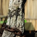 img_6105w