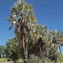 img_6114w