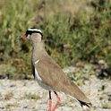 img_6214w