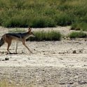 img_6219w
