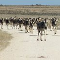 img_6227w