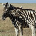 img_6229w