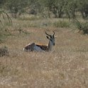 img_6241w