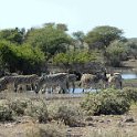 img_6242w