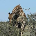 img_6248w