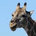 img_6249w