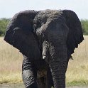 img_6262w