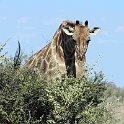 img_6282w