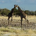 img_6308w