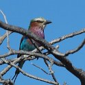 img_6338w