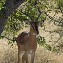 img_6342w
