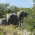 img_6351w