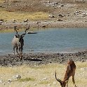img_6355w