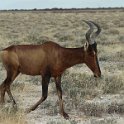 img_6371w