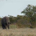 img_6405w