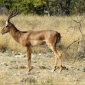 img_6407w