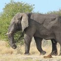 img_6441w