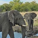 img_6448w