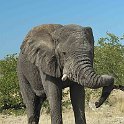 img_6452w