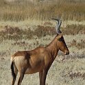 img_6454w
