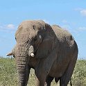 img_6459w