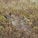 img_6478w