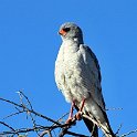img_6510w