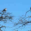 img_6517w