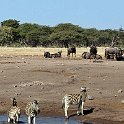 img_6518w