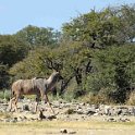 img_6522w