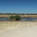 img_6532w